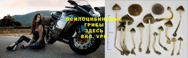 дурь Абинск