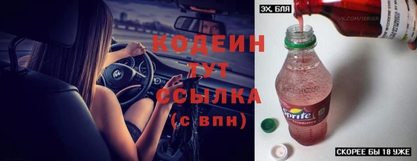 ECSTASY Алзамай