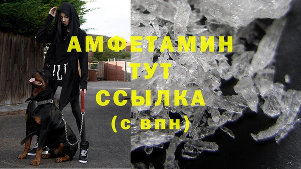 ECSTASY Алзамай