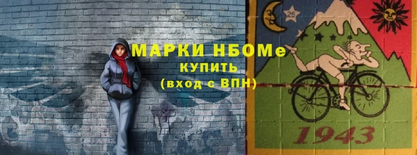 ECSTASY Алзамай