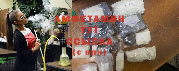 ECSTASY Алзамай