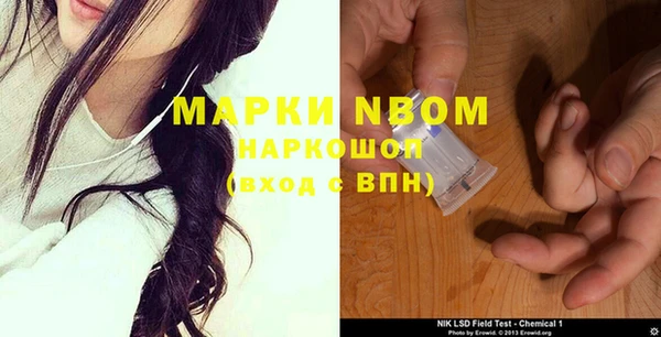 ECSTASY Алзамай
